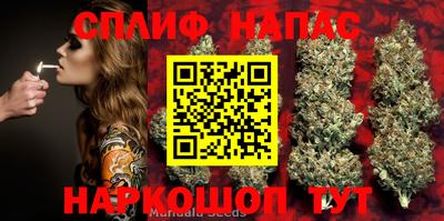 дживик Беслан