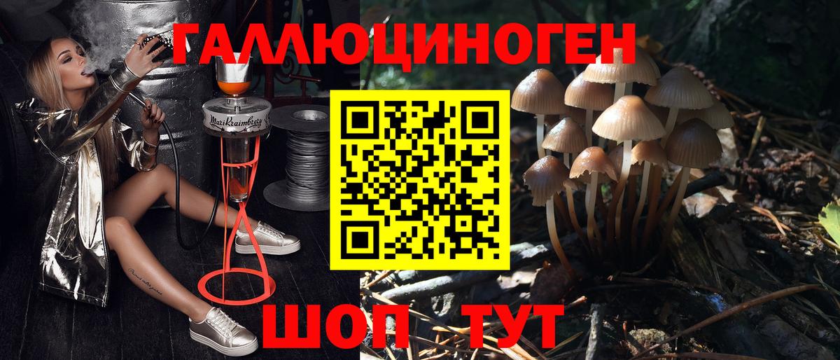 Псилоцибиновые грибы Magic Shrooms  Псилоцибиновые грибы мухоморы  Вход с VPN  Зеленодольск 