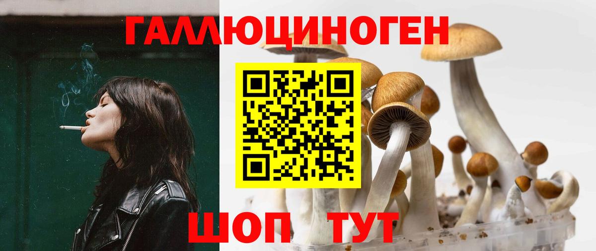 Галлюциногенные грибы Psilocybine cubensis Зеленодольск